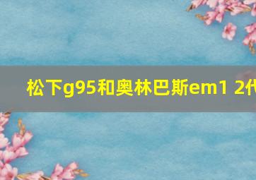 松下g95和奥林巴斯em1 2代